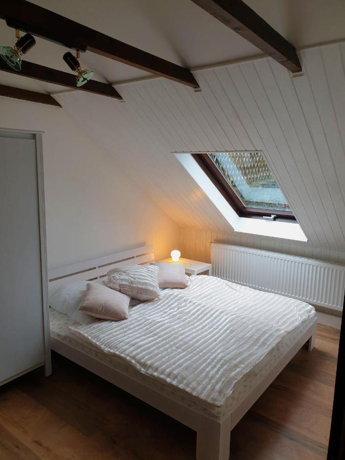 Saechsische-Schweiz-Ferienhaus-Wohnung-1-Mit-Elbblick-Sauna-Und-Kamin Konigstein an der Elbe Ngoại thất bức ảnh
